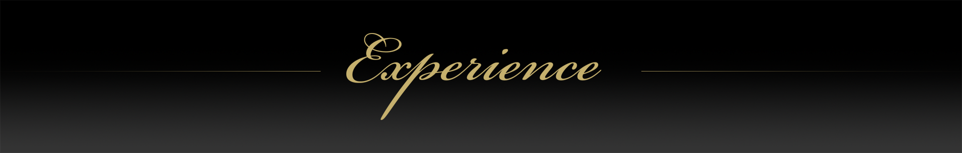 EXPERIENCE